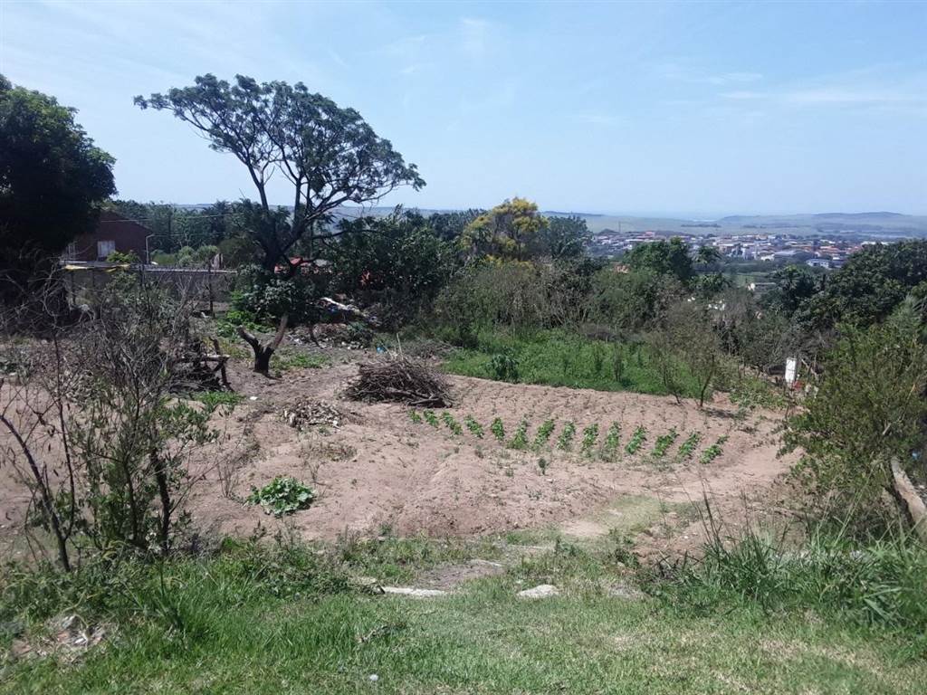 985 m² Land available in Warrenton photo number 3