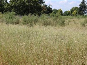 1.5 ha Land available in Meyerton South