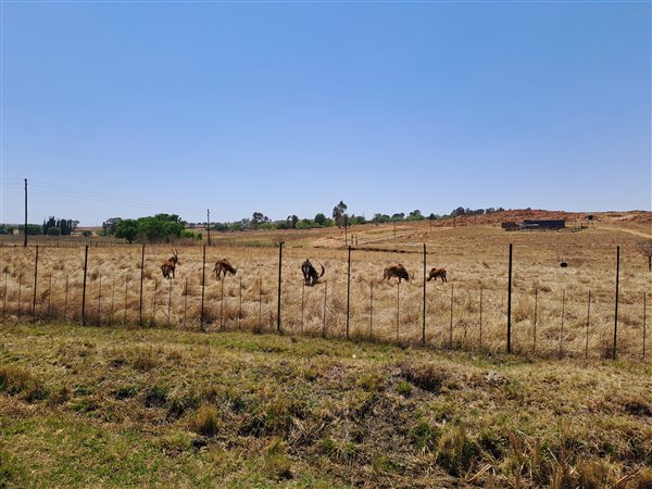 28 ha Farm 28 ha Farm