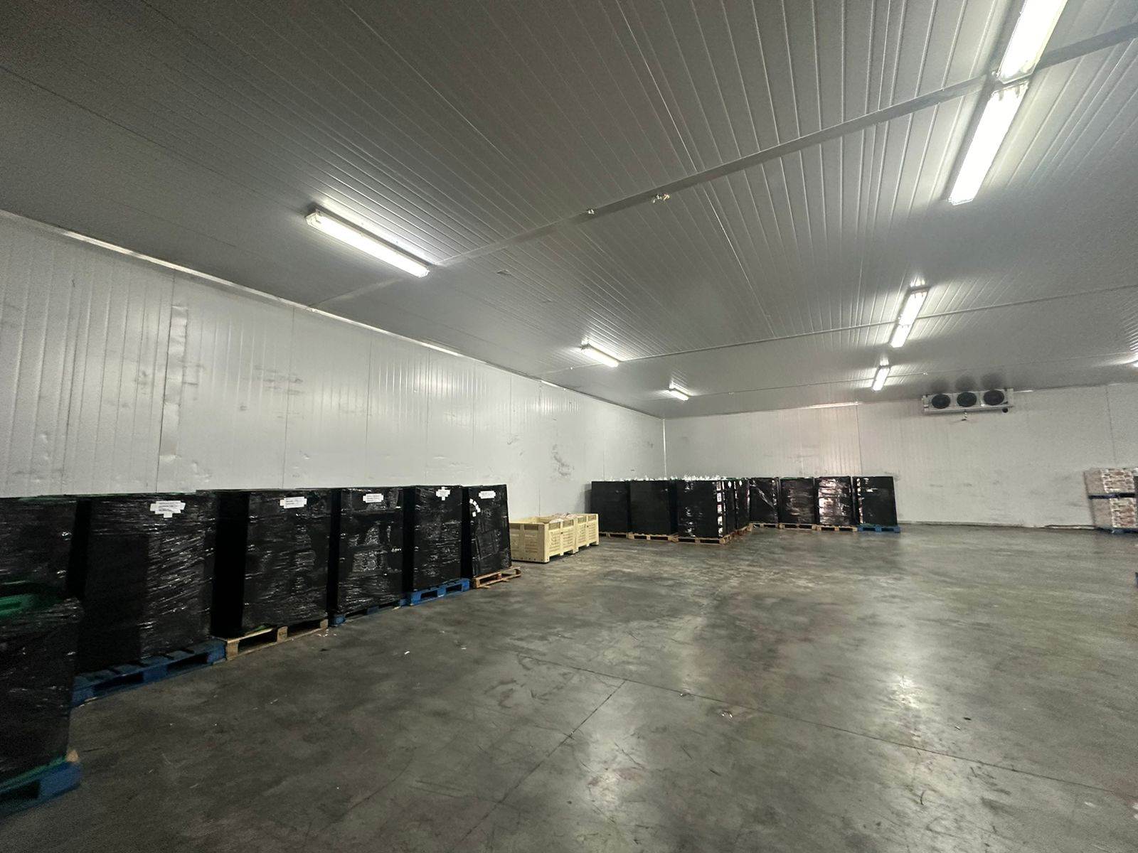 3401  m² Industrial space in Clayville photo number 5