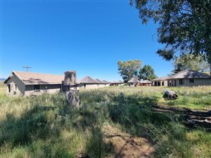 347.8 ha Farm in Newcastle Central