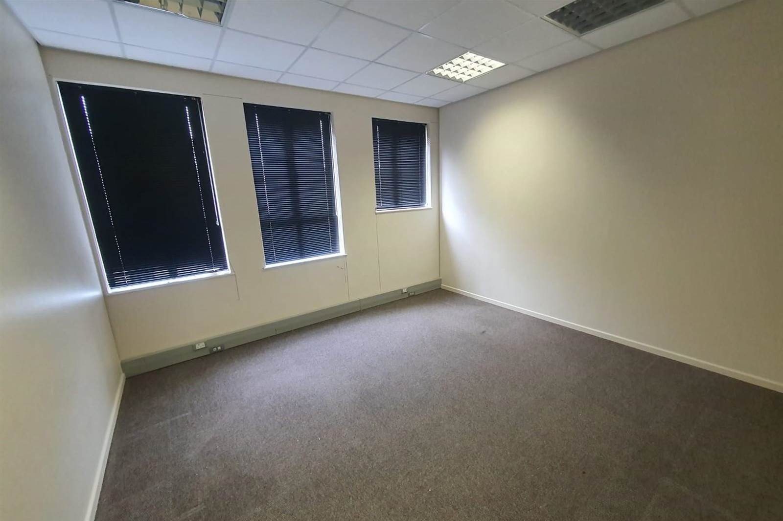 440  m² Commercial space in Newton Park photo number 10