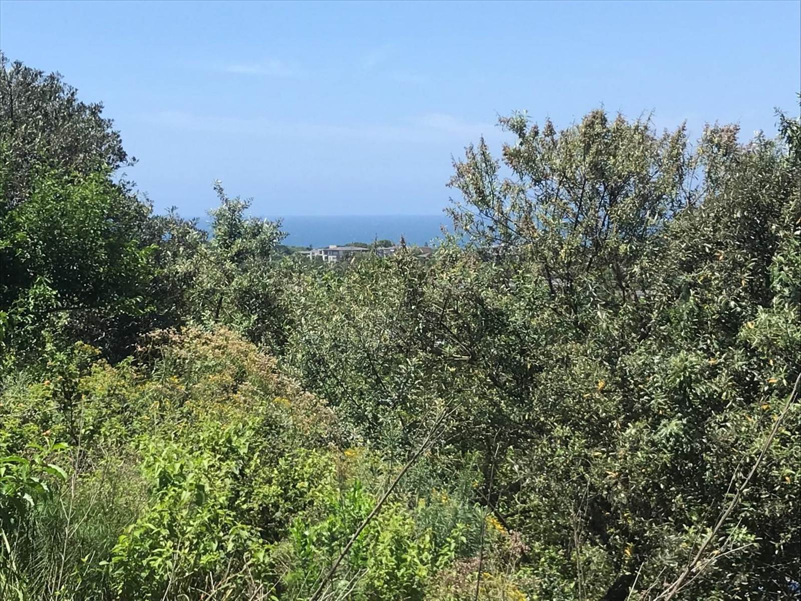 1536 m² Land available in Brettenwood Coastal Estate photo number 2