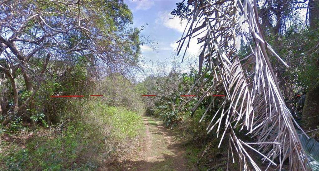 1630 m² Land available in Palm Beach photo number 10
