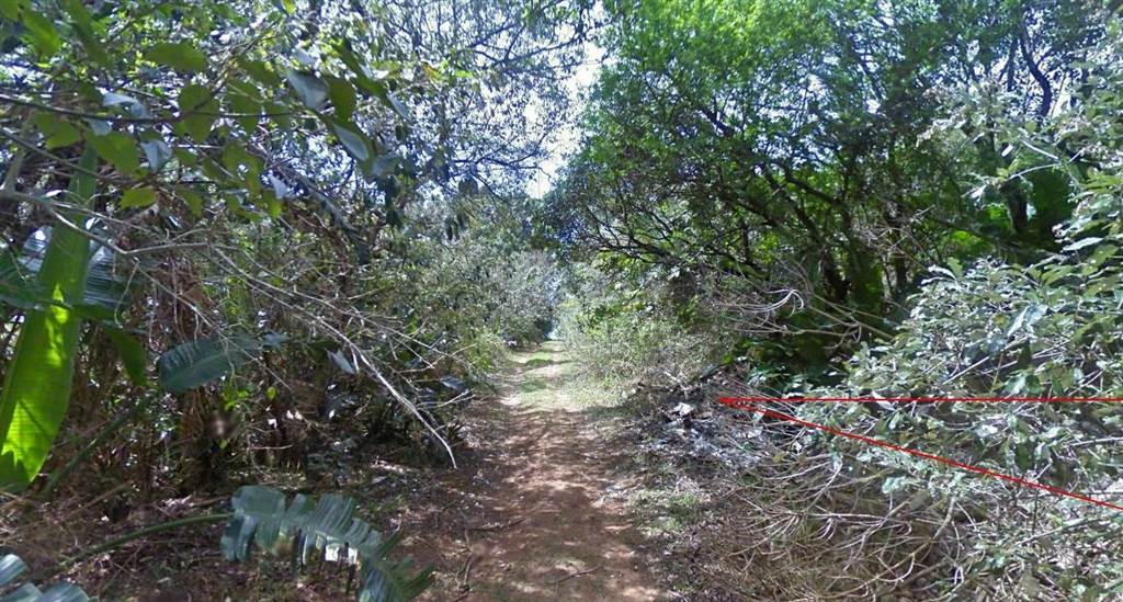 1630 m² Land available in Palm Beach photo number 8