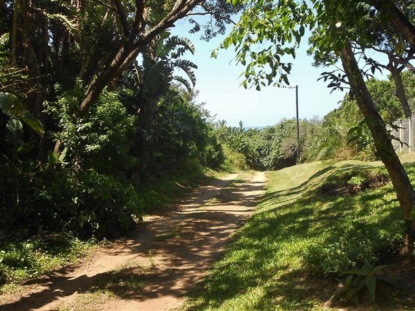 1630 m² Land available in Palm Beach