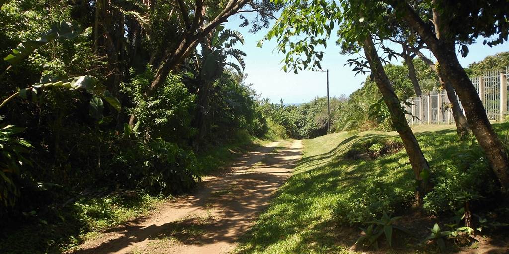 1630 m² Land available in Palm Beach photo number 1