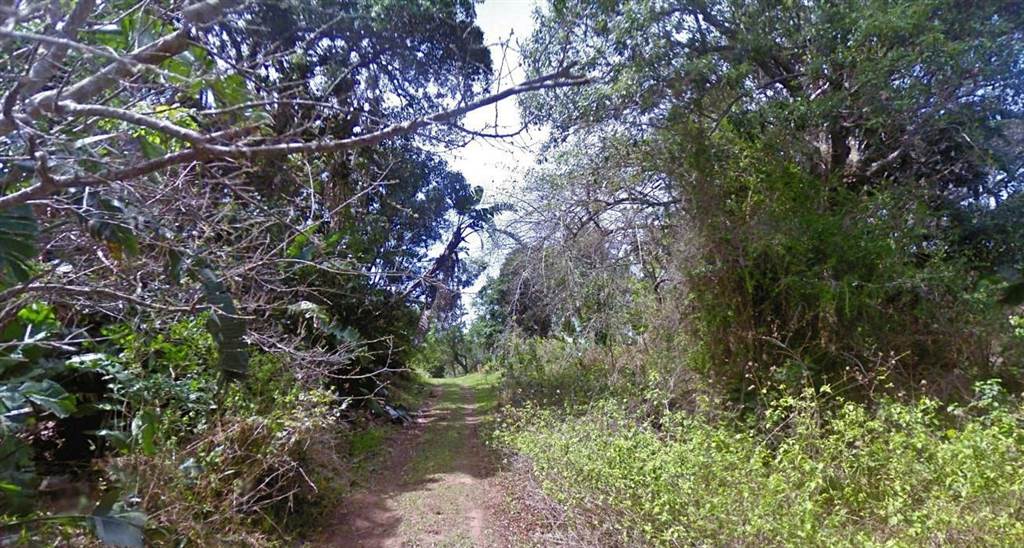 1630 m² Land available in Palm Beach photo number 9