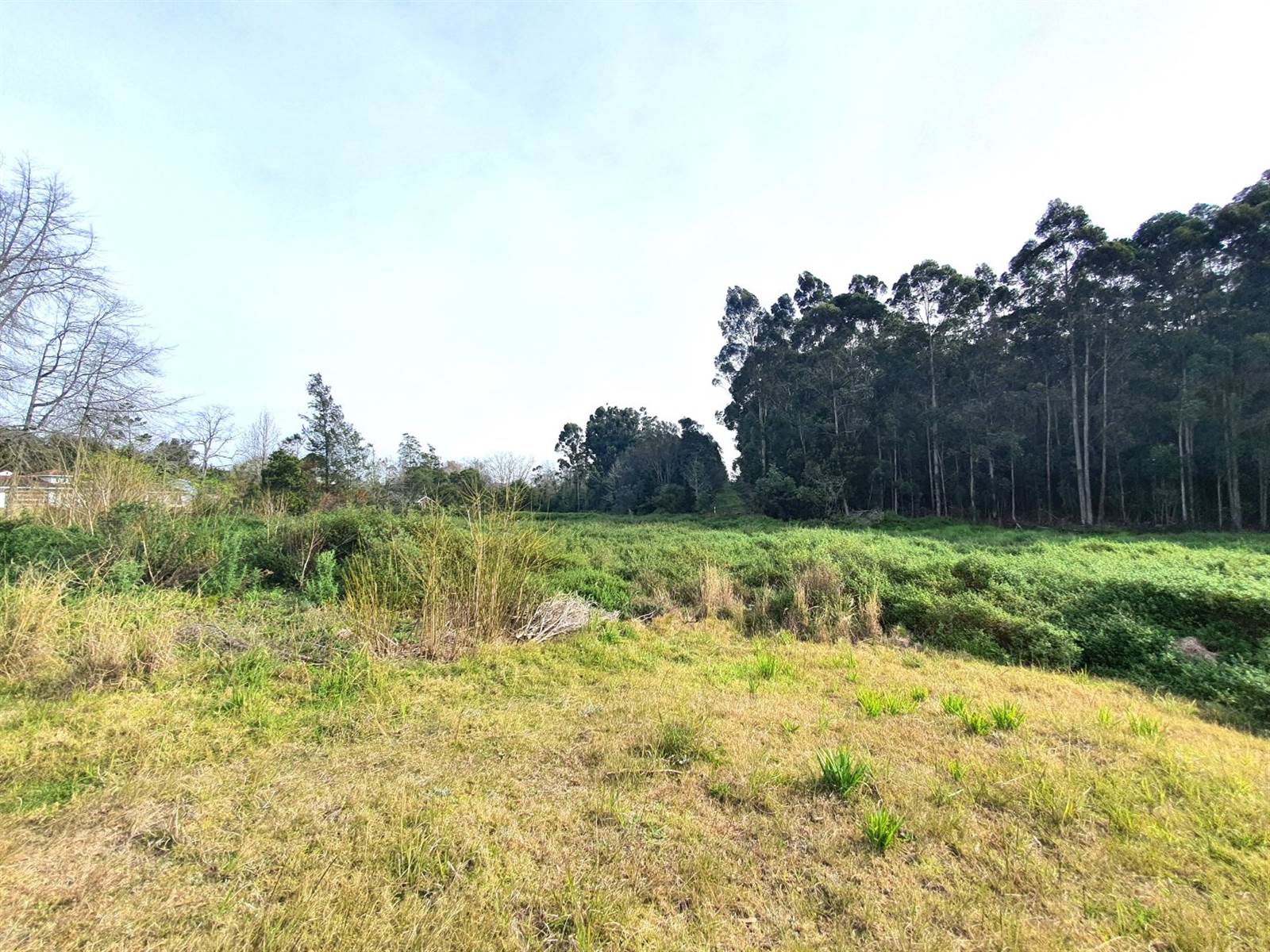 1.8 ha Land available in Heatherlands photo number 5