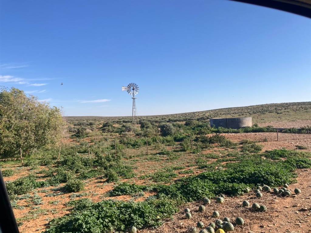 8125 ha Farm in Loeriesfontein photo number 10