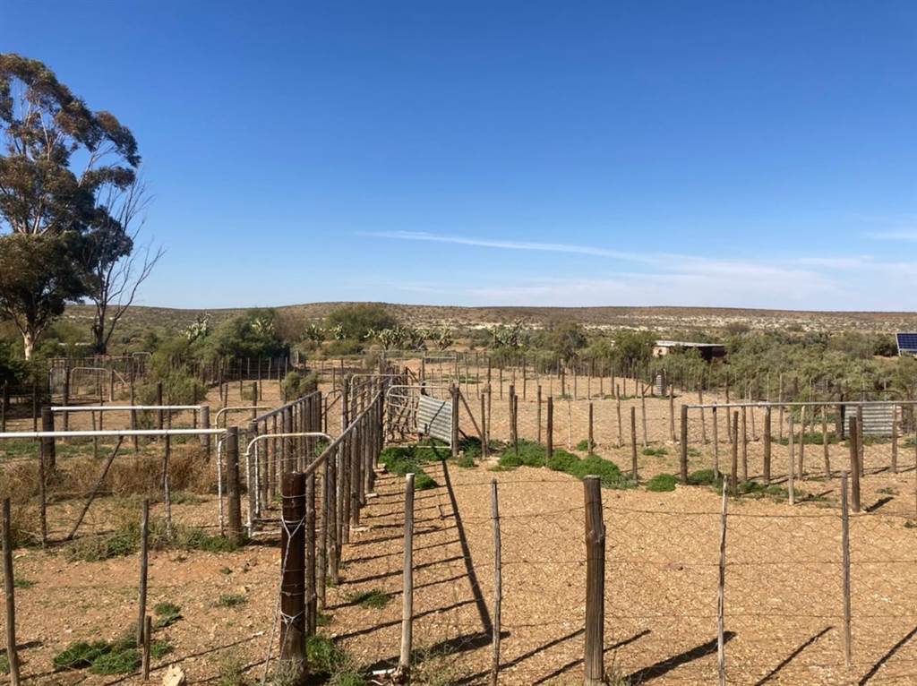 8125 ha Farm in Loeriesfontein photo number 9