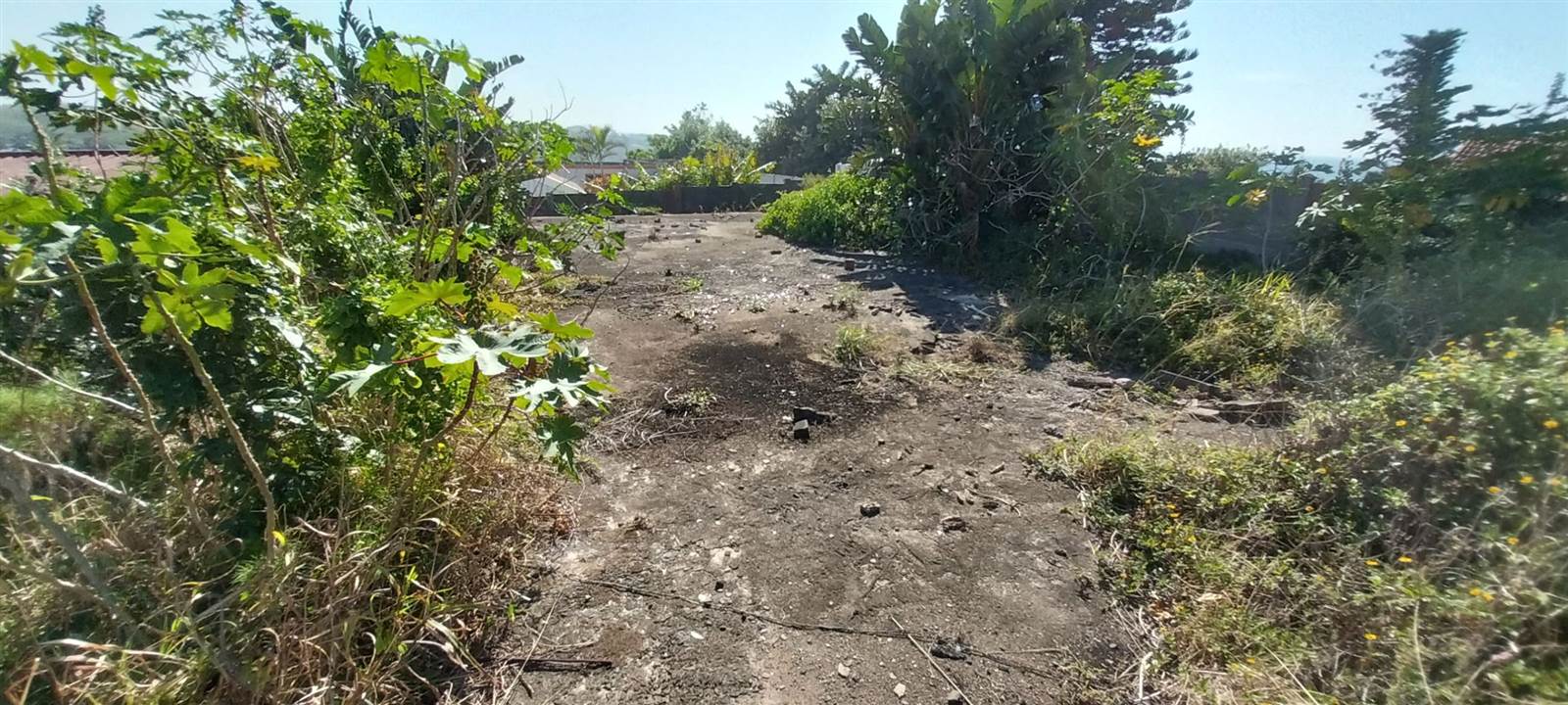 1493 m² Land available in Ifafa Beach photo number 20