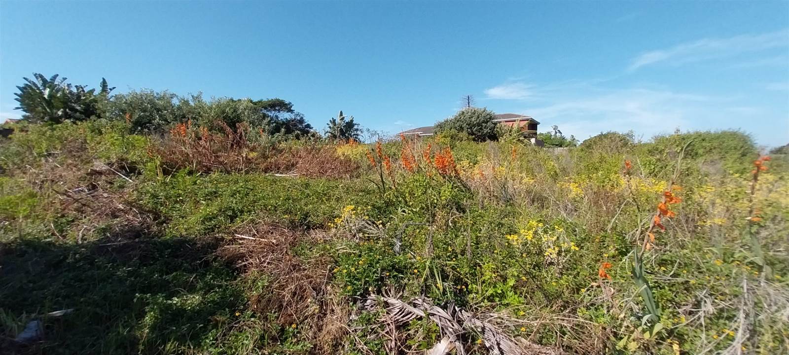 1493 m² Land available in Ifafa Beach photo number 14
