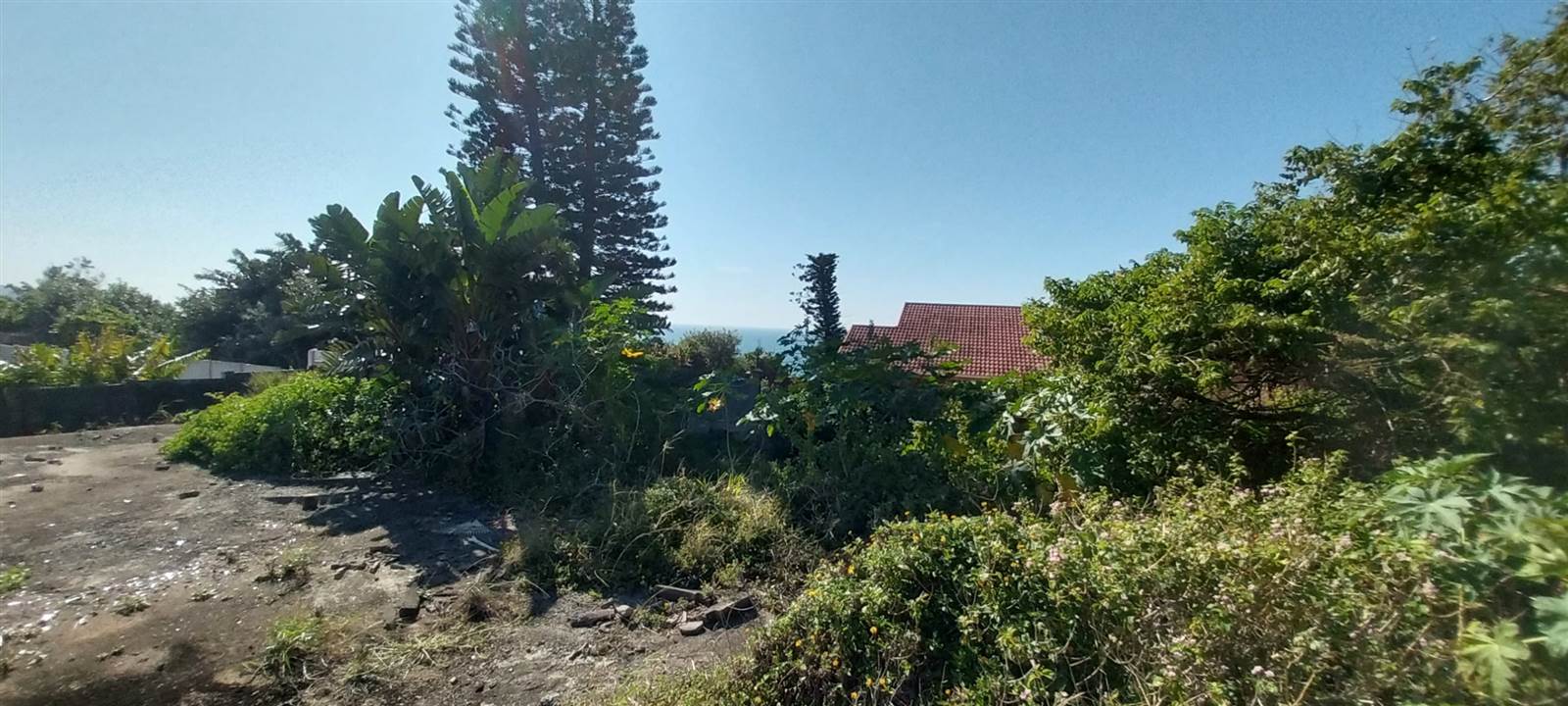 1493 m² Land available in Ifafa Beach photo number 12