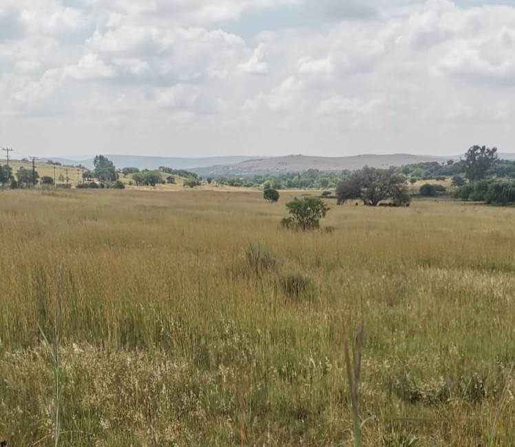 3.8 ha Land available in Mnandi AH photo number 5