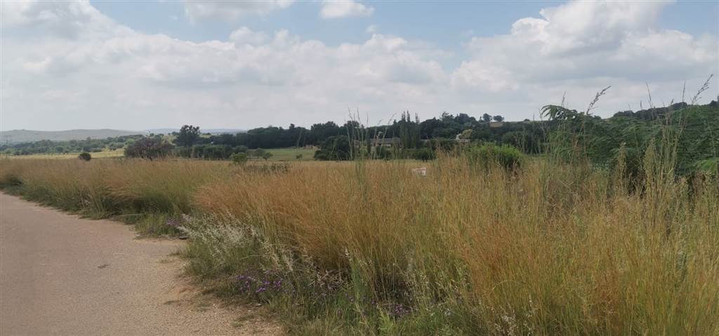 3.8 ha Land available in Mnandi AH photo number 3