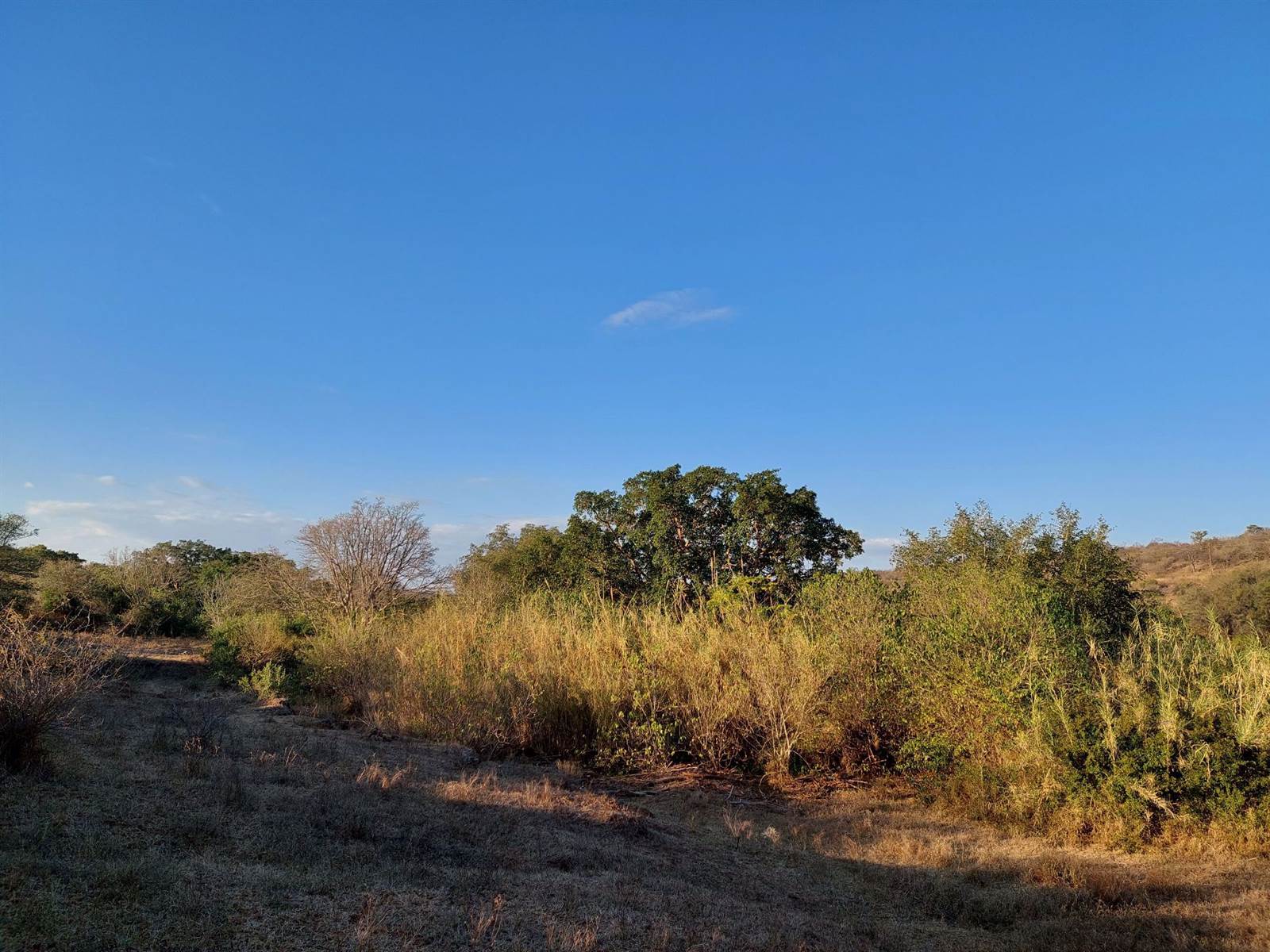 2400 m² Land available in Hoedspruit photo number 7