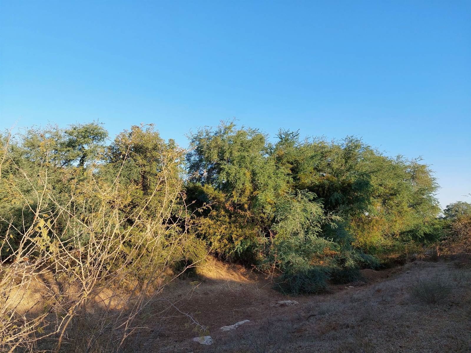 2400 m² Land available in Hoedspruit photo number 4