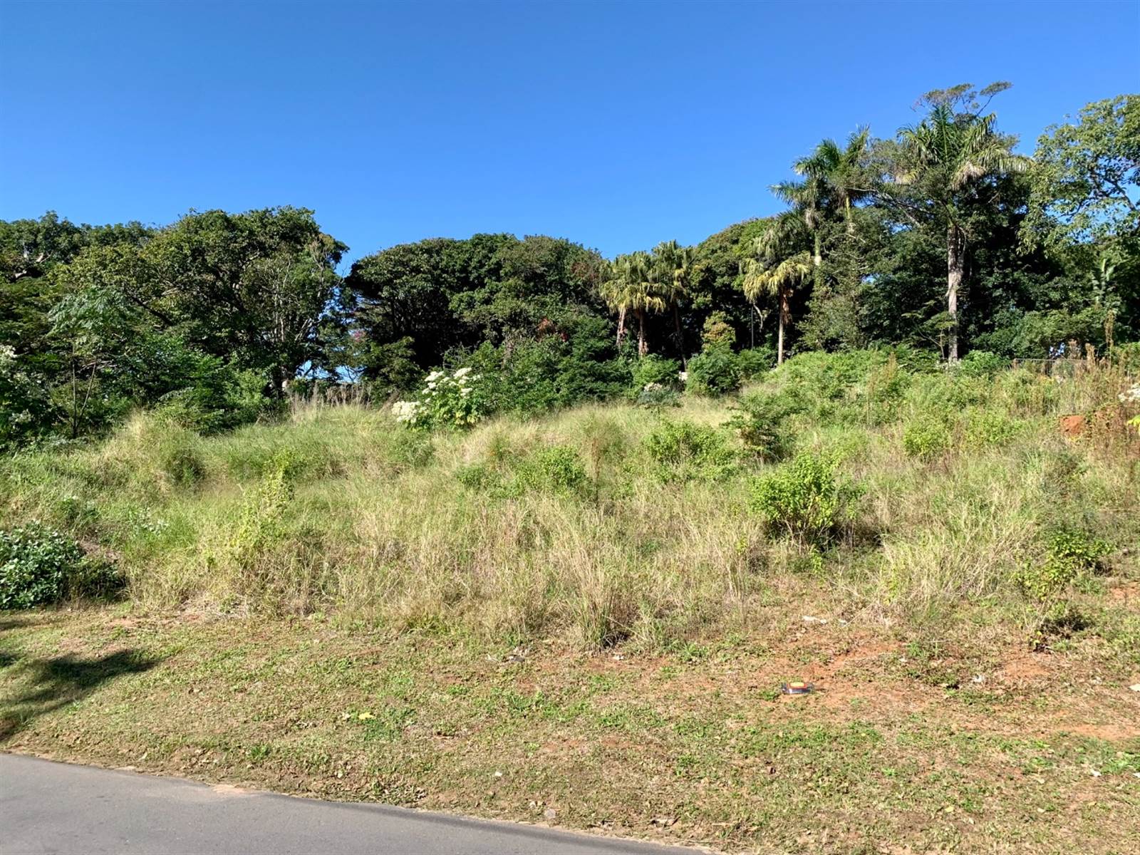 2048 m² Land available in Umtentweni photo number 5