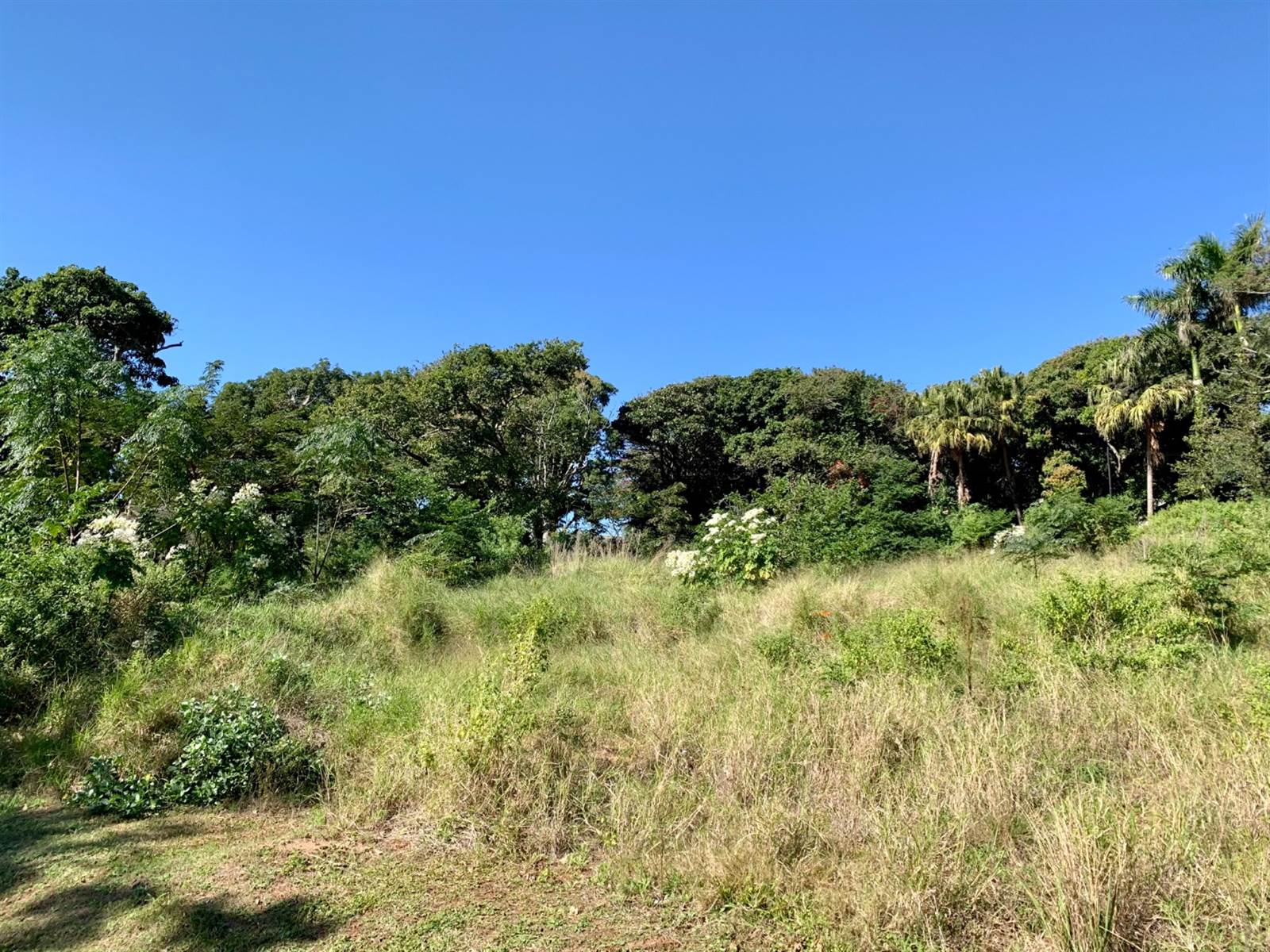 2048 m² Land available in Umtentweni photo number 2