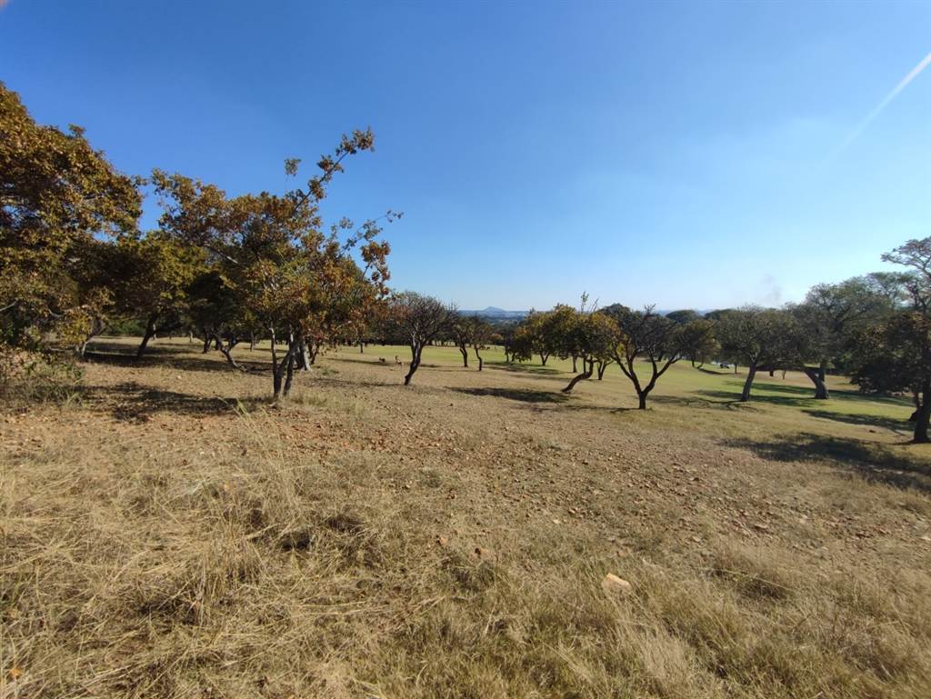 1003 m² Land available in Seasons Lifestyle Estate photo number 3