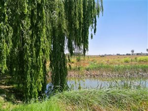 1.2 ha Land available in Blue Saddle Ranches