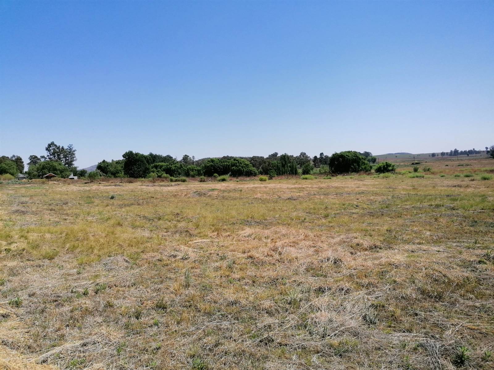 1.2 ha Land available in Blue Saddle Ranches photo number 8
