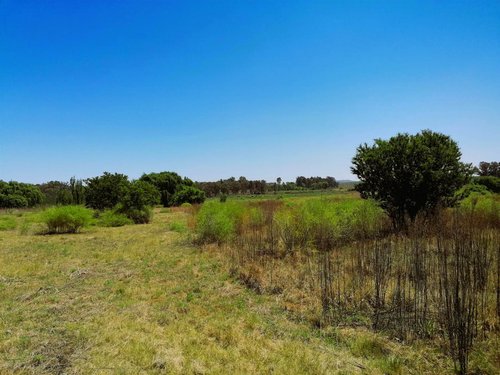 1.2 ha Land available in Blue Saddle Ranches photo number 6
