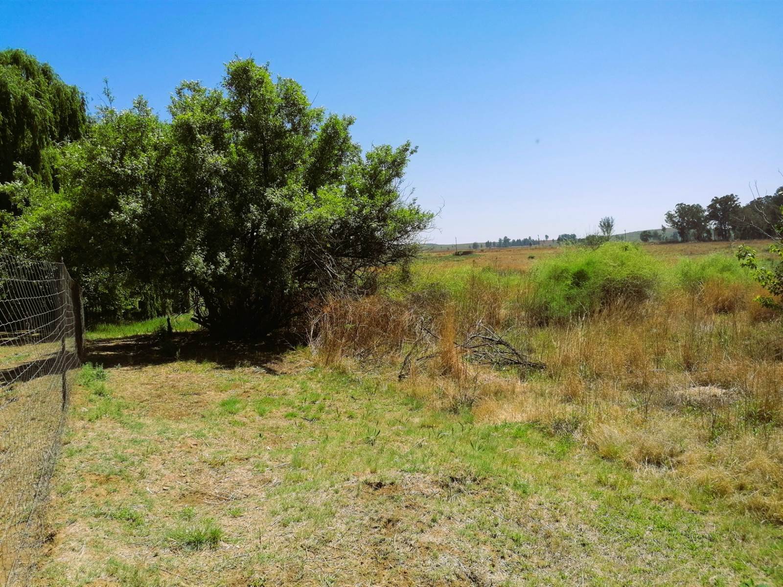 1.2 ha Land available in Blue Saddle Ranches photo number 3