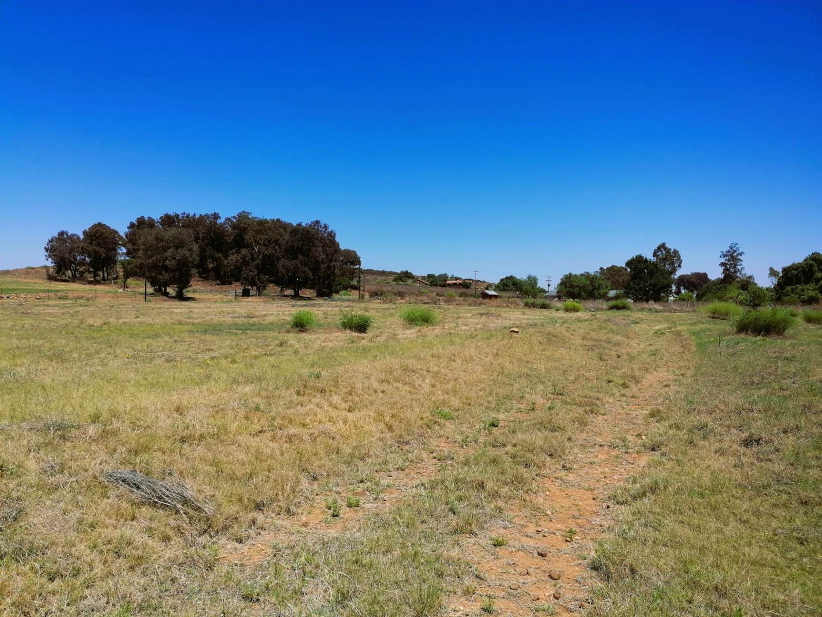 1.2 ha Land available in Blue Saddle Ranches photo number 5