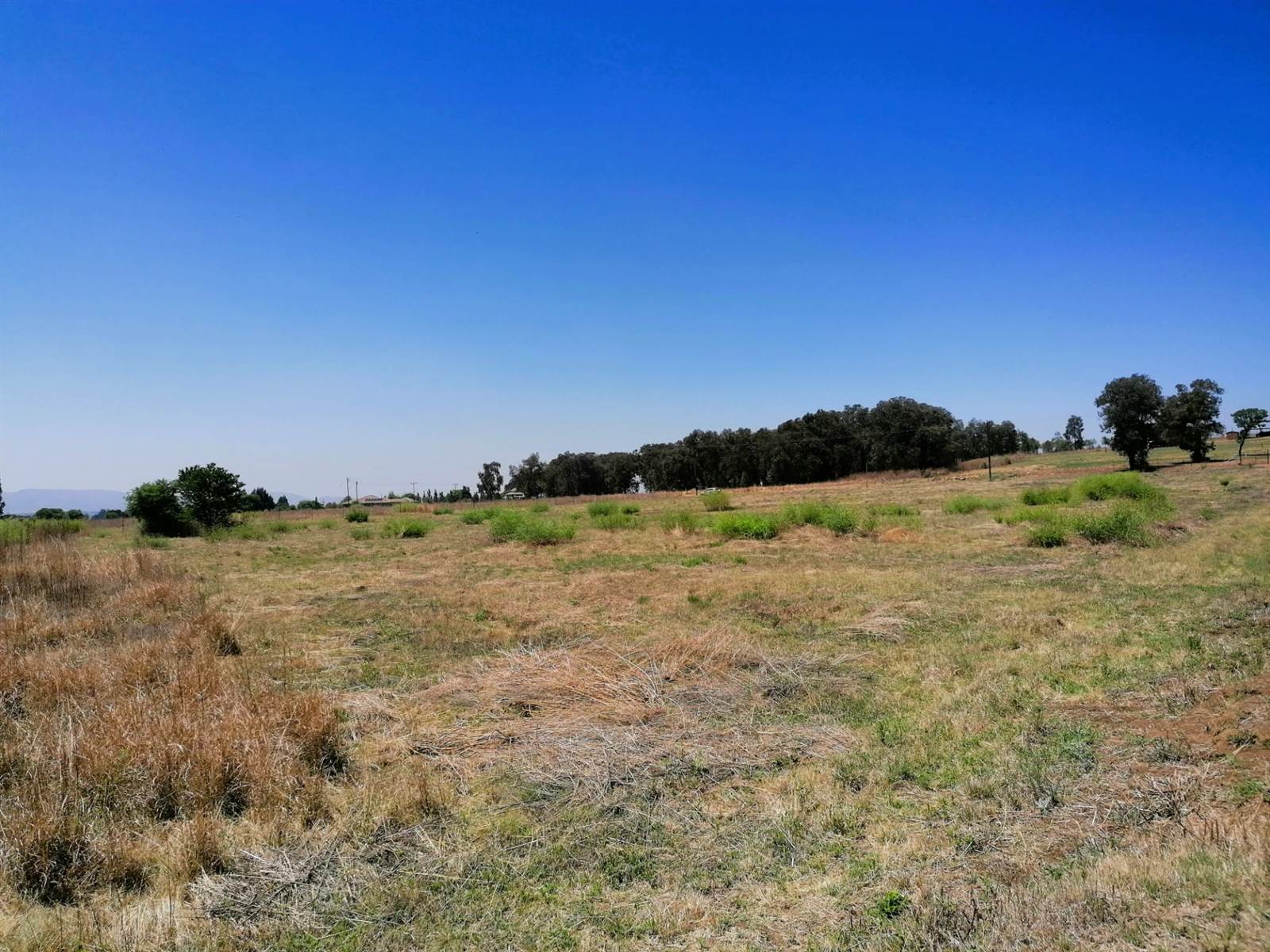 1.2 ha Land available in Blue Saddle Ranches photo number 4