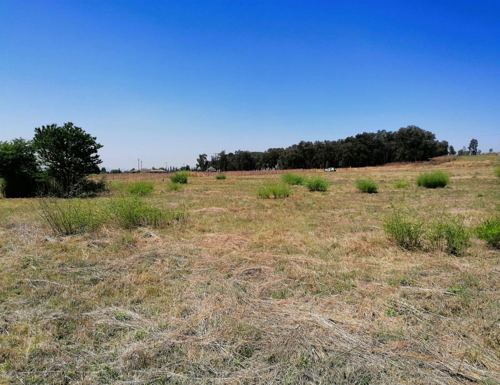1.2 ha Land available in Blue Saddle Ranches photo number 7