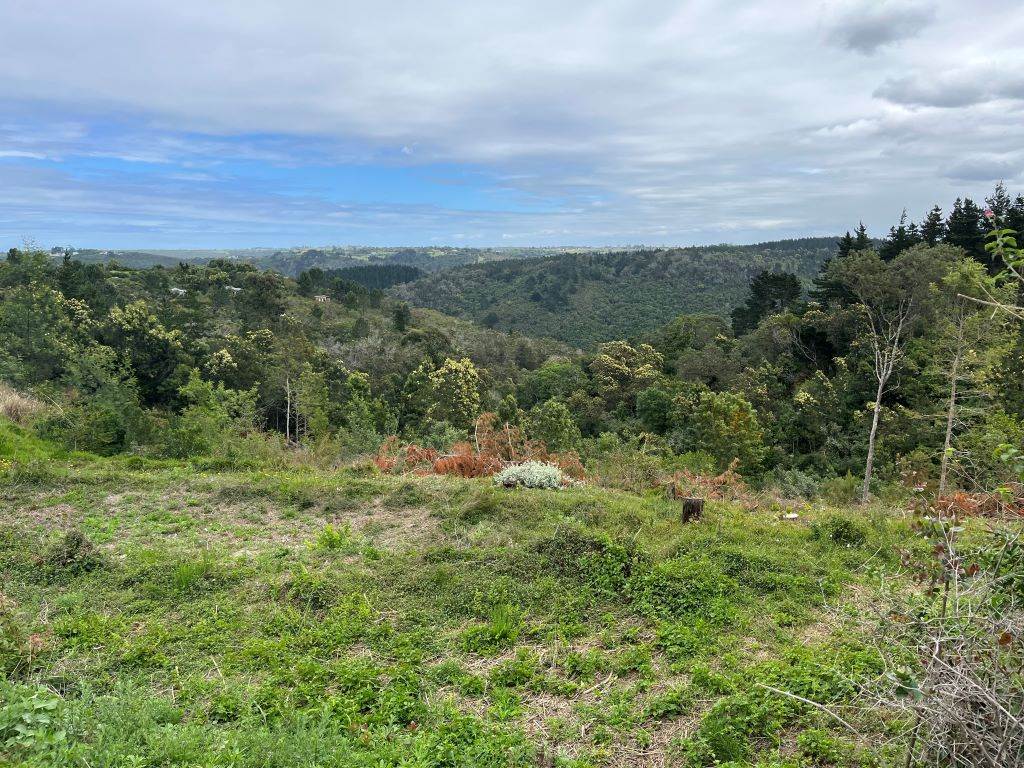 3 ha Land available in Wilderness Heights photo number 2