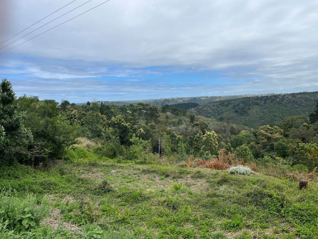 3 ha Land available in Wilderness Heights photo number 8