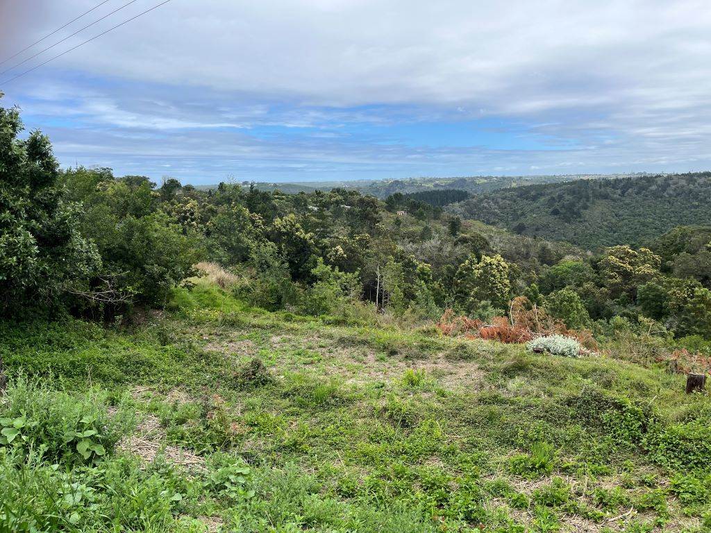 3 ha Land available in Wilderness Heights photo number 9