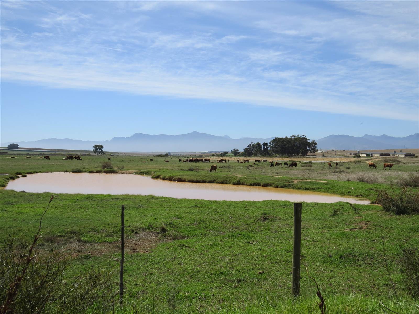 72 ha Farm in Northern Paarl photo number 13