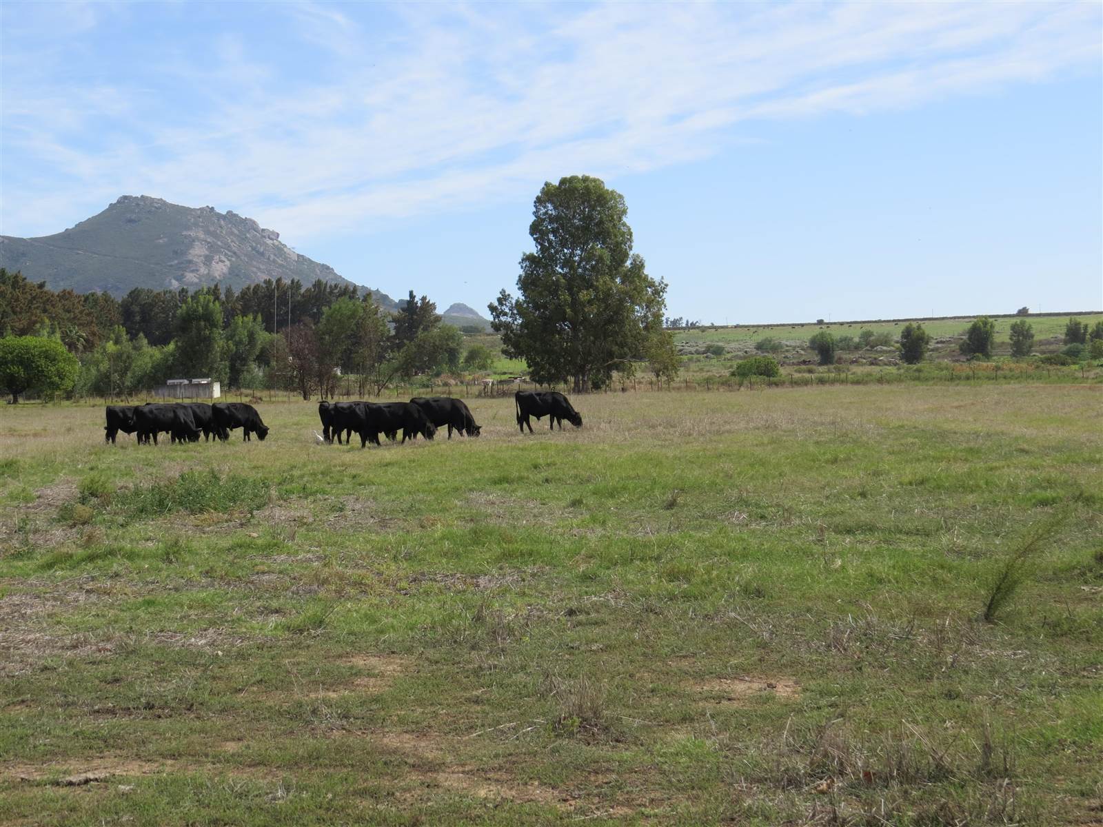 72 ha Farm in Northern Paarl photo number 2
