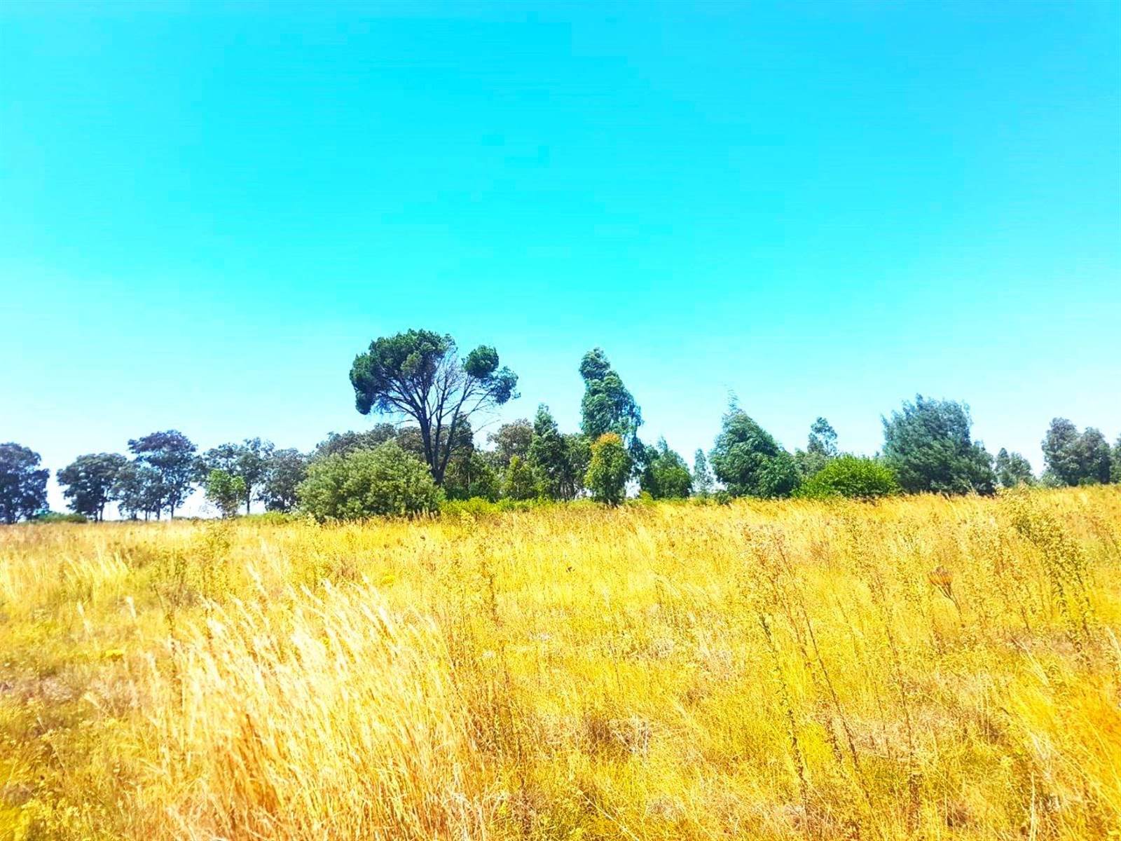 8600 m² Land available in Vaal Marina photo number 6
