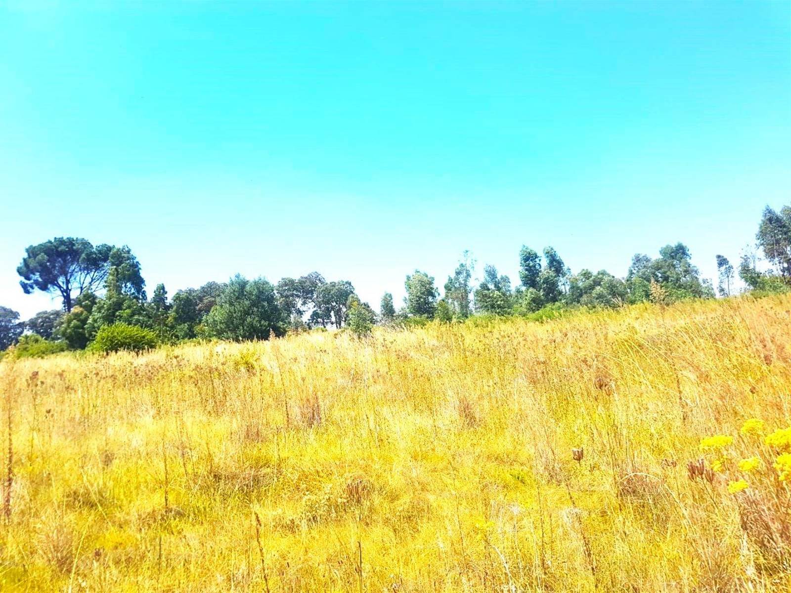 8600 m² Land available in Vaal Marina photo number 8