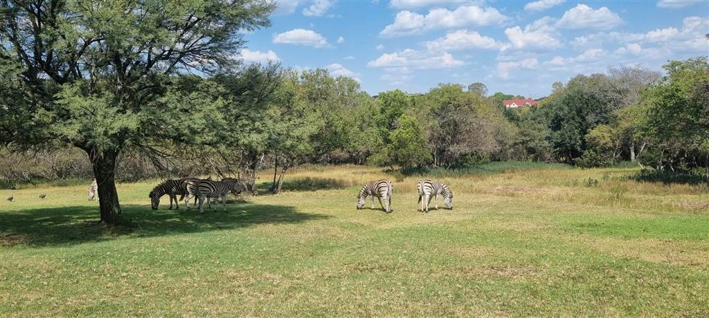 1000 m² Land available in Boschkop photo number 8