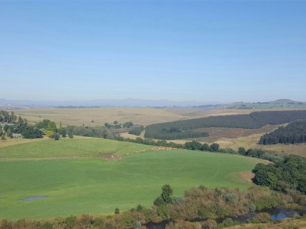 22.2 ha Smallholding