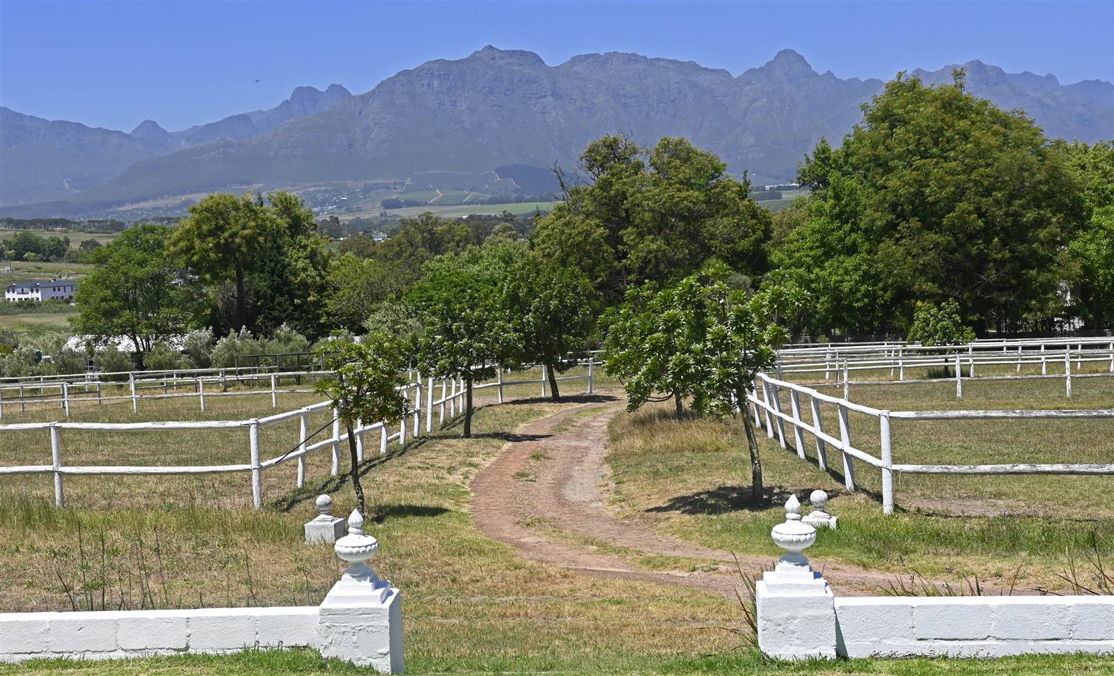 2.2 ha Smallholding in Stellenbosch Agricultural photo number 28