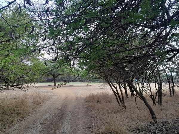 1263 m² Land available in Chroom Park