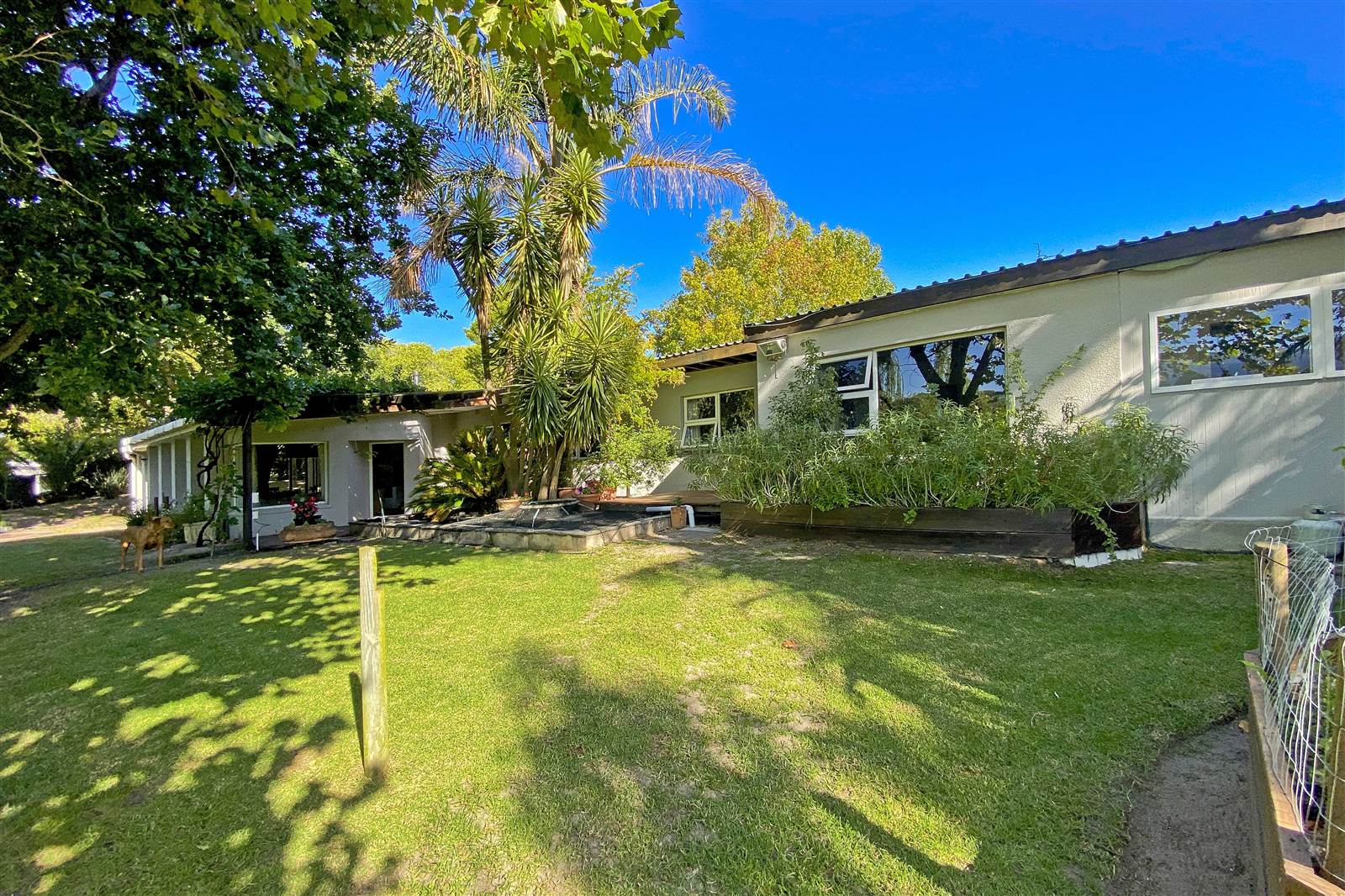 5 Bed House in Constantia photo number 23