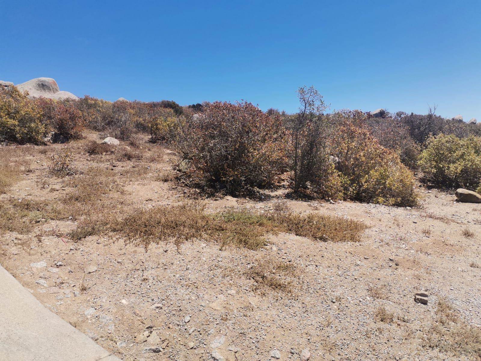 788 m² Land available in Saldanha photo number 5