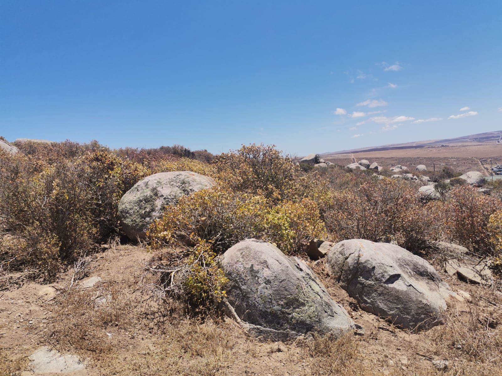 788 m² Land available in Saldanha photo number 6