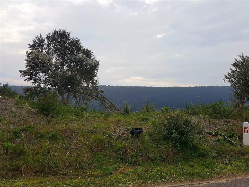1908 m² Land available in Sedgefield photo number 9