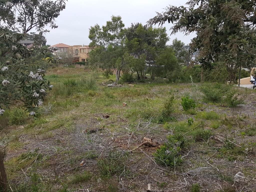 1908 m² Land available in Sedgefield photo number 5