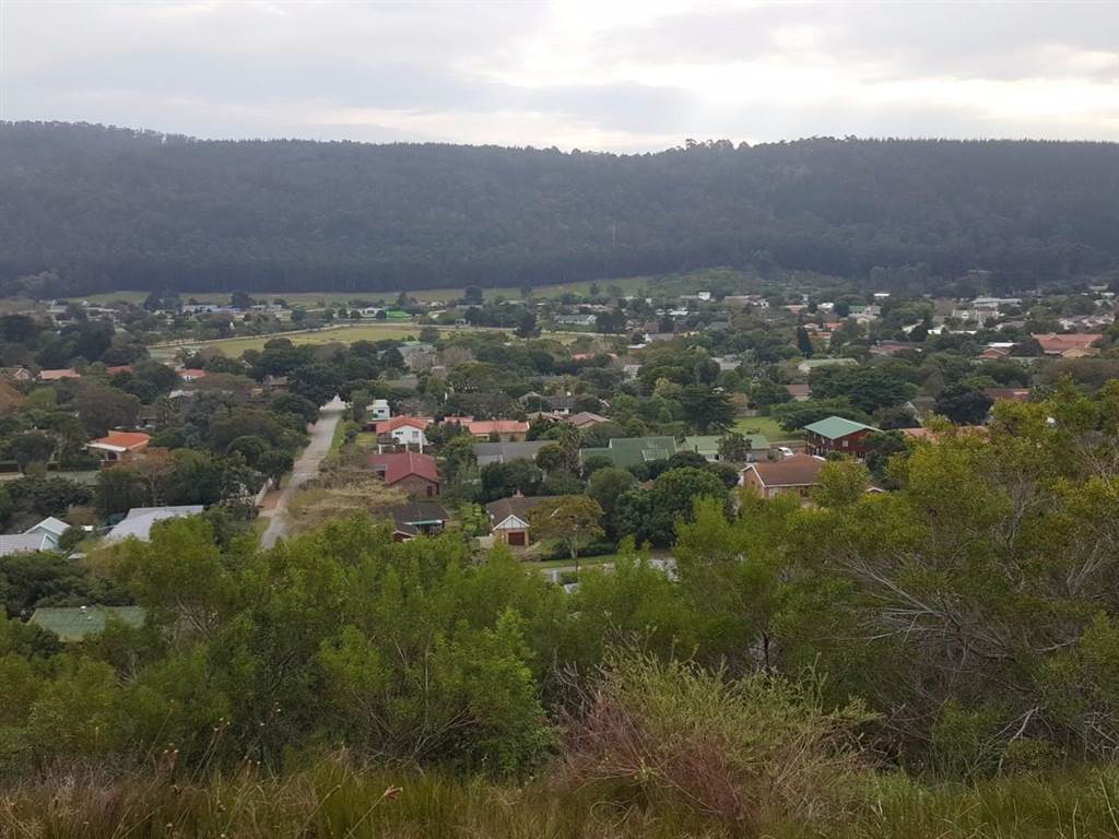1908 m² Land available in Sedgefield photo number 4