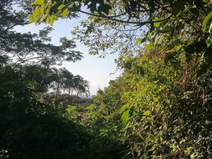 1100 m² Land available in Pennington